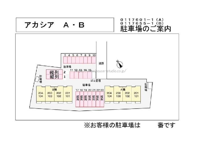 アカシア　B_画像2